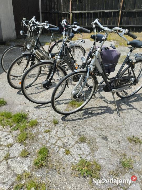 Rowery holenderskie Gazelle