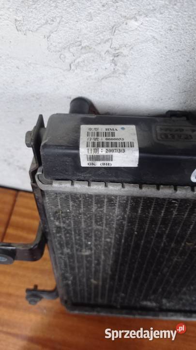 Chłodnica wentylator czujnik SYM 250 skuter Łubno