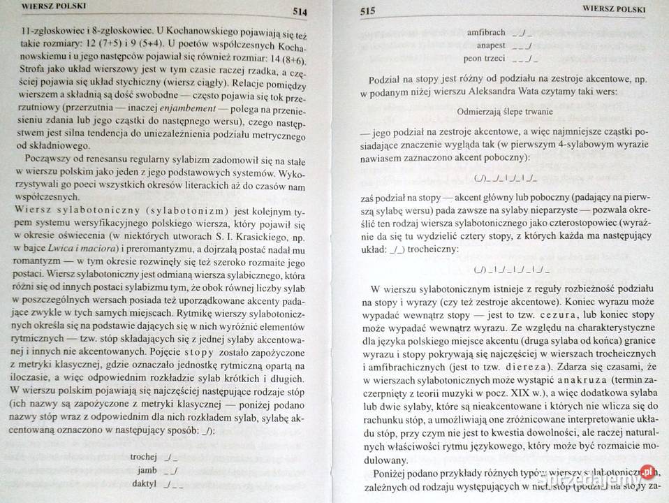 Szkolny słownik wiedzy o literaturze R Cudak M lubelskie