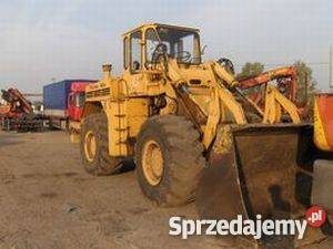 Fadroma stalowa wola Łapy