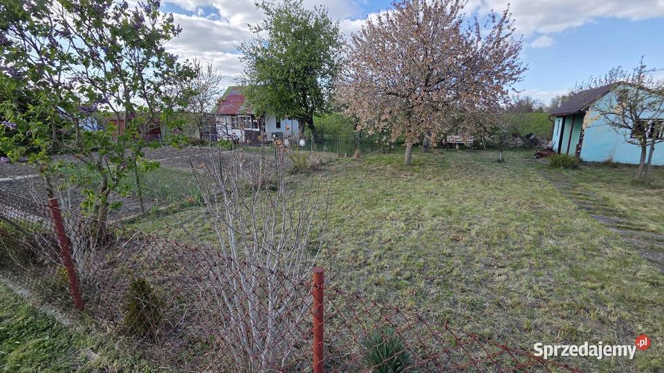 Działka rekreacyjna ROD Odrze cisza natura i Oława