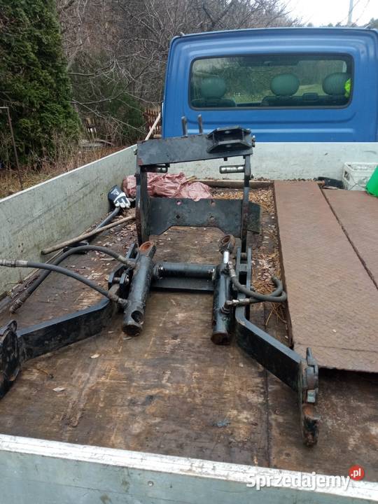 Tuz przedni Holland świętokrzyskie