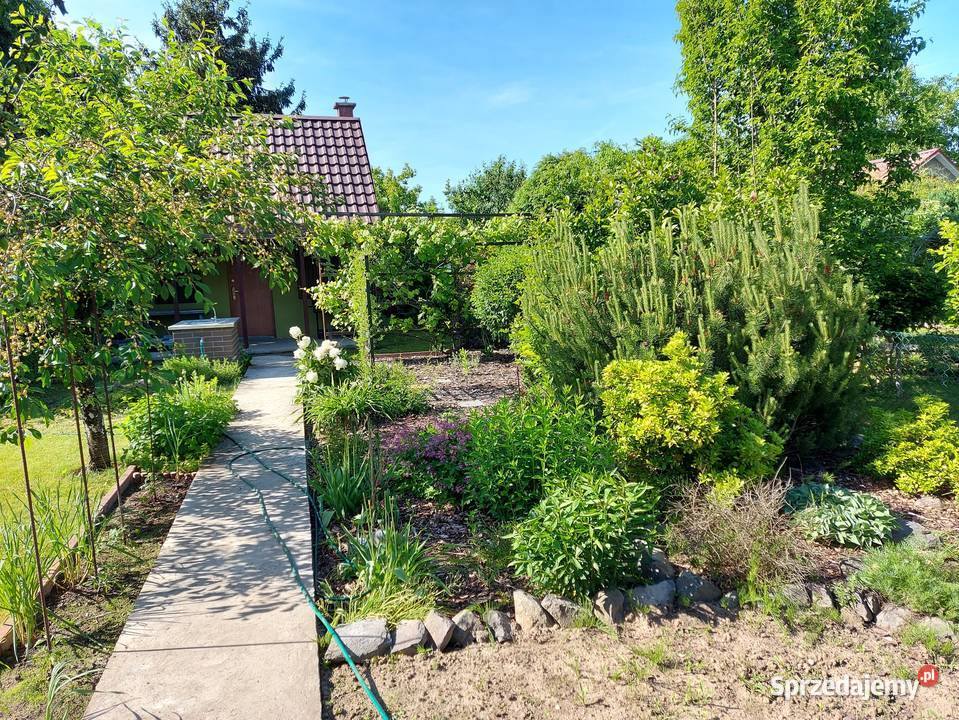 Sprzedam Działkę ogrodową ROD Stargard