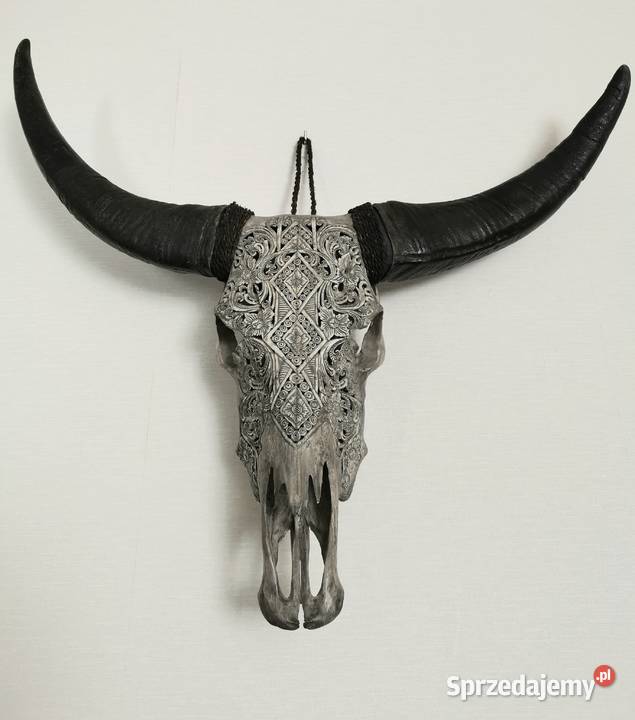 UNIKATRzeźbiona duża czaszka bawoła rękodzieło Antyki, Sztuka, Kolekcje Wałbrzych