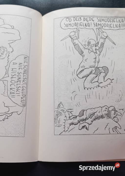 Witold Sas Nowosielski ja kocham te góry Text Antyki, Sztuka, Kolekcje Koźminek