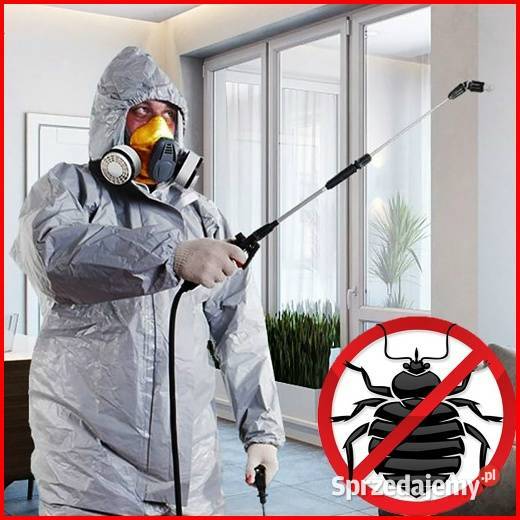Dezynsekcja Pluskiew Wrocław 247