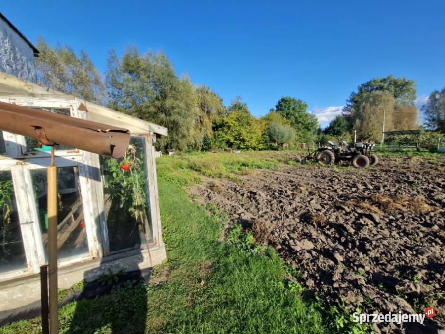 Syndyk sprzeda udział 12 w nieruchomości Syndyk sprzeda Ostaszewo
