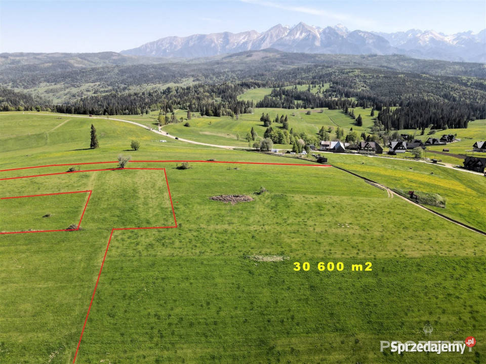 Działka Łapszanka 30600m2