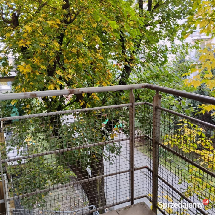 Wynajmę kawalerkę Poznań Grunwald