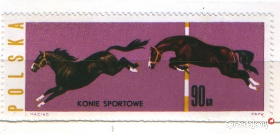 Zn Fi 1304 1963 Gliwice