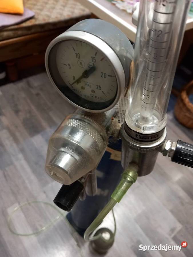 BUTLA NA TLEN MEDYCZNY lubuskie Kożuchów