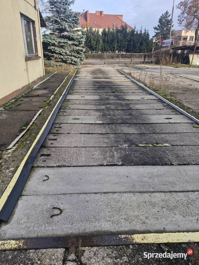 waga samochodowa Pozostałe Międzychód