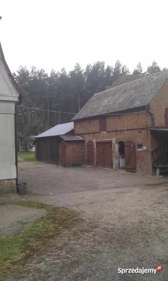 dom w Przyłęgu 5 Strzelec Kraj Strzelce Krajeńskie