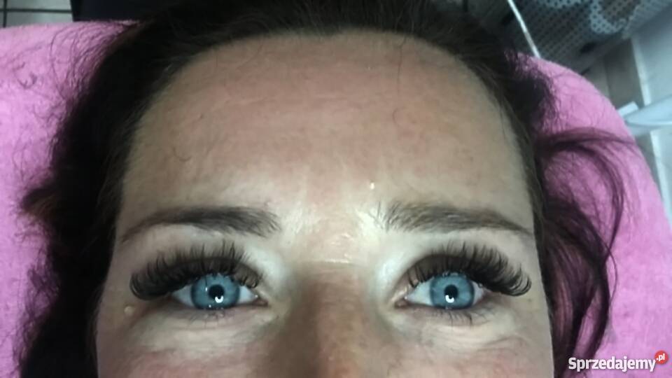 Rzesy 26D Beauty Lashes Dominika Bydgoszcz
