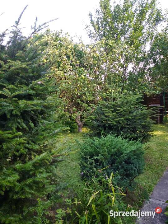 Sprzedam ogród działkowy ROD 455m2 Ruda Śląska