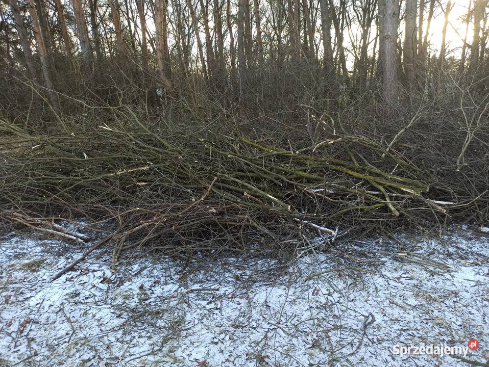 ODDAM GAŁĘZIE DUŻA ILOŚĆ Rolnictwo Ziempniów