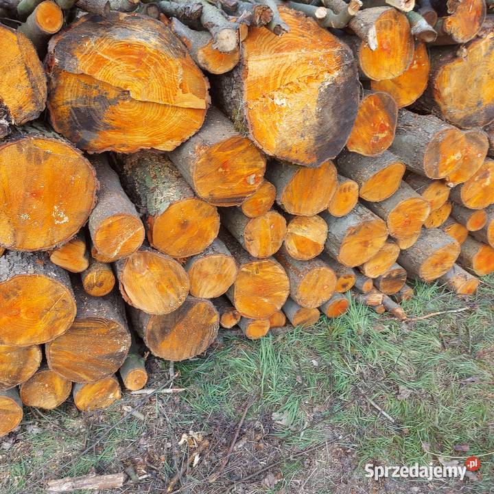 Olcha Kominkowe opalowe do wędzenia Opał