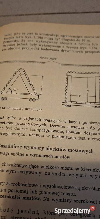 Cieśla Mostowy 1 wydanie niski nakład 2700300 Łęczyca sprzedam