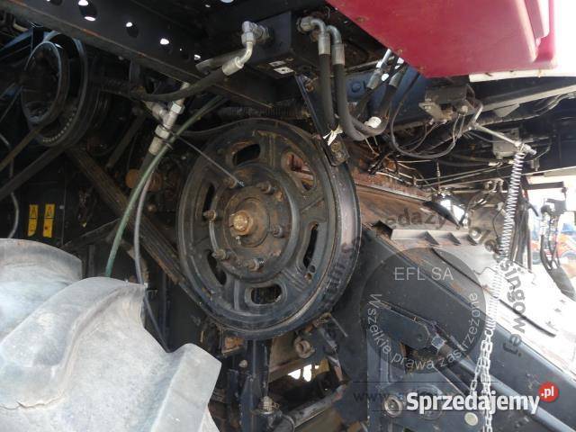 Kombajn zbożowy ROSTSELMASH VECTOR 425 RSM101 z Zbożowe dolnośląskie Magnice