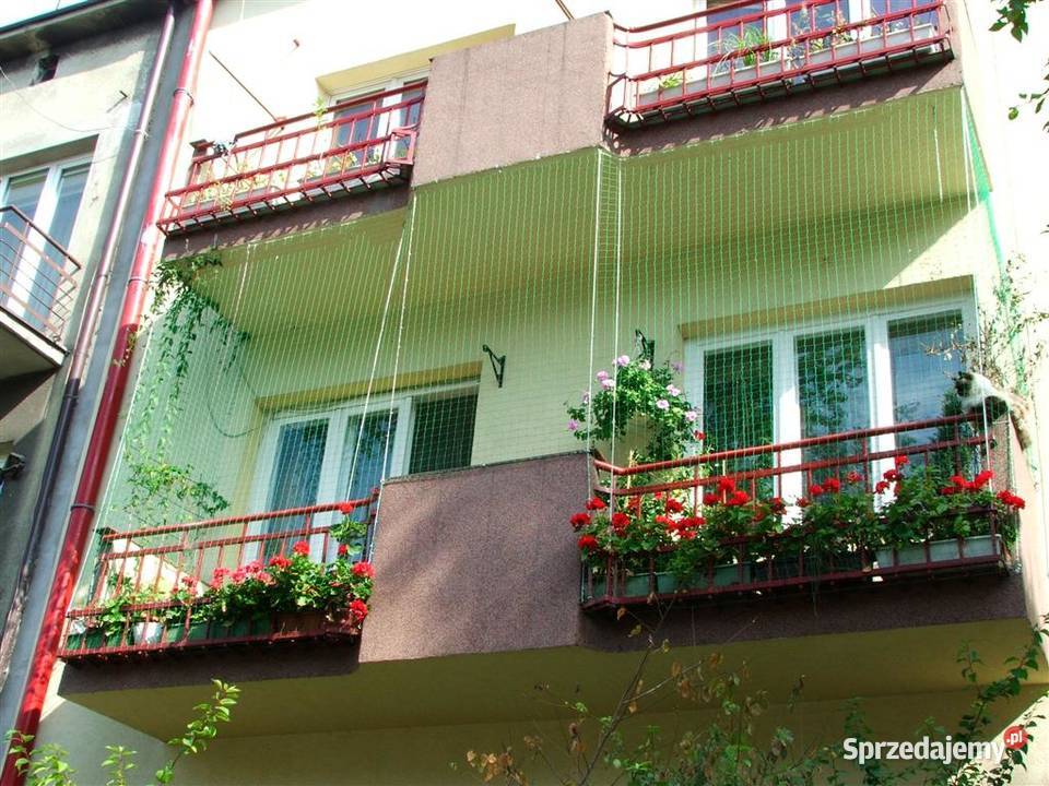 Siatka Kota na Balkon Drzwi i Okna montaż Łódź