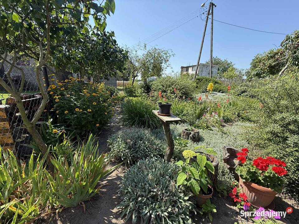 Siedlisko w mazowieckiej wsi mazowieckie Józefków