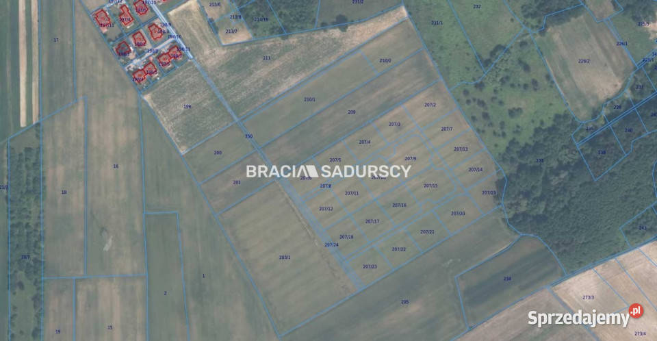 Działka 30420m2 Młodziejowice telefon