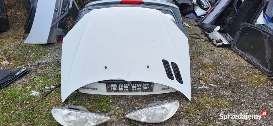 Peugeot 206 przed FL Zderzak Maska Pas przód z Pozostałe Żabno