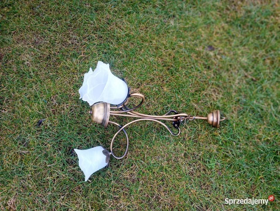 Lampa wiszaca plus Gdańsk