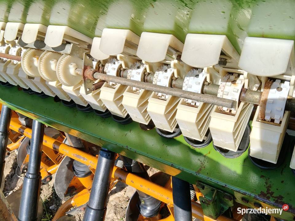 Amazone d7 30e talerzowy hydraulika full świętokrzyskie Jałowęsy