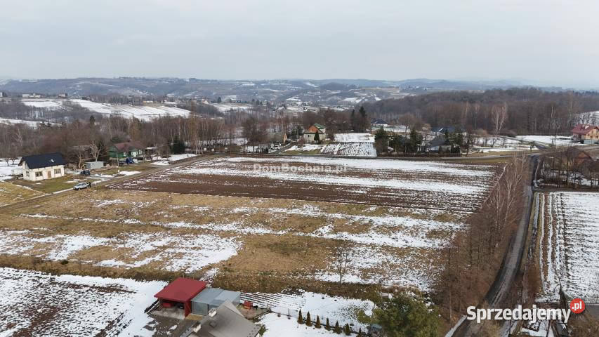 Ogłoszenie działka 1401m2 Tworkowa asfalt