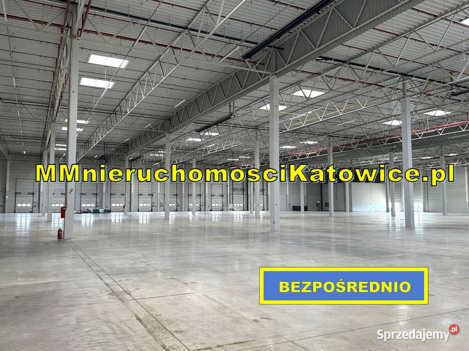Magazynprodukcja wynajem Dąbrowa Górnicza A4 winda Ruda Śląska