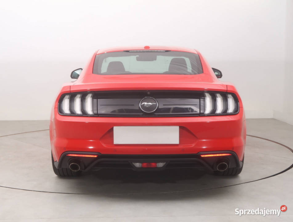 Ford Mustang 23 Ecoboost Bielany Wrocławskie