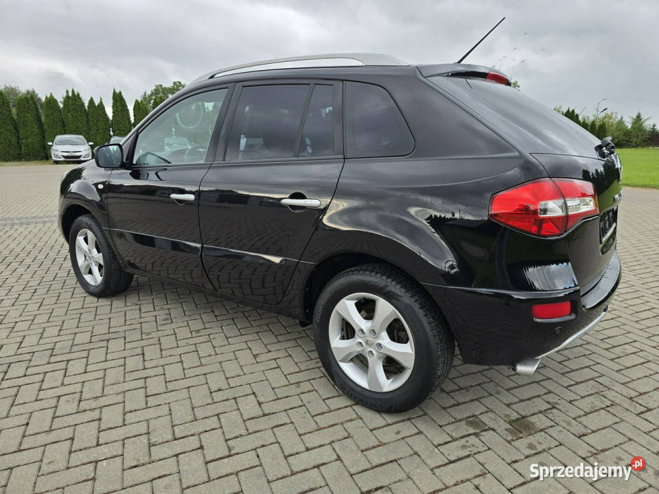 Renault Koleos 25BENZYNA Panorama Kutno
