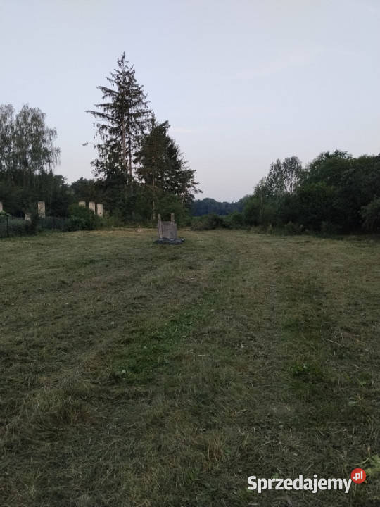 Siedlisko z lasem 403 ha jeziorach 2 działki asfalt Bereza