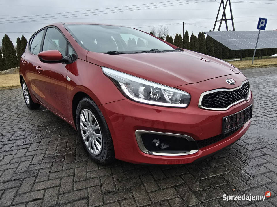 Kia Ceed 16crdi nieuszkodzony Kutno
