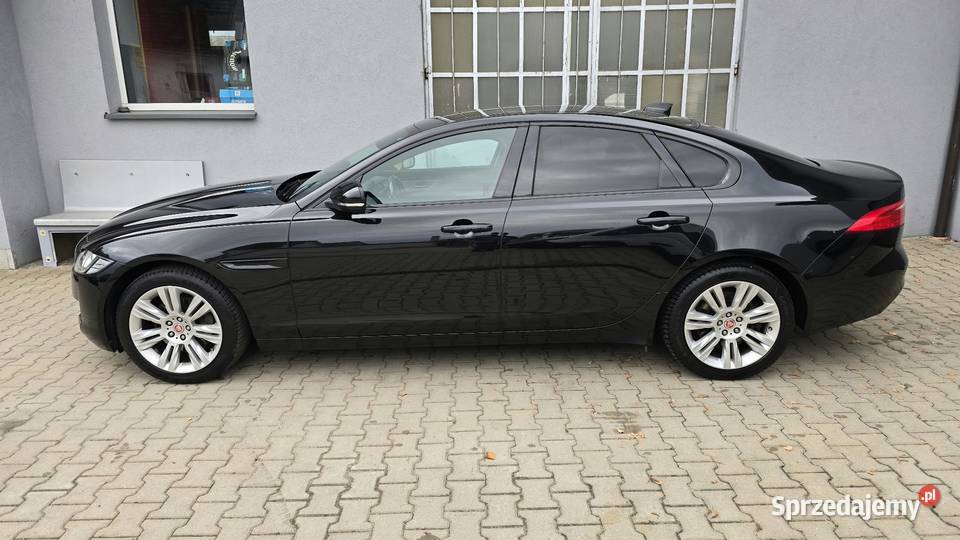 Jaguar XF opolskie Nowy Świętów