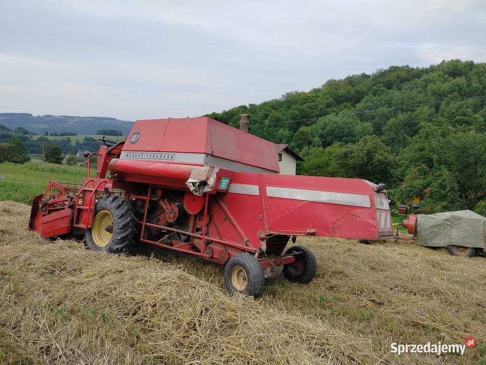 MF 187 Massey Ferguson Stańkowa
