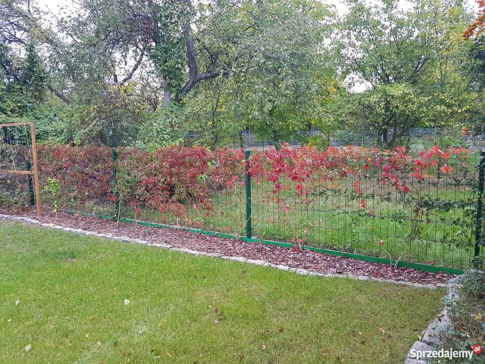 Ogródek działkowy ROD KROKUS Małopanewska Z WODĄ Wrocław