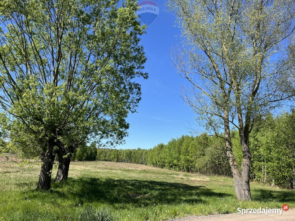 Działka siedliskowa w Pustelniku