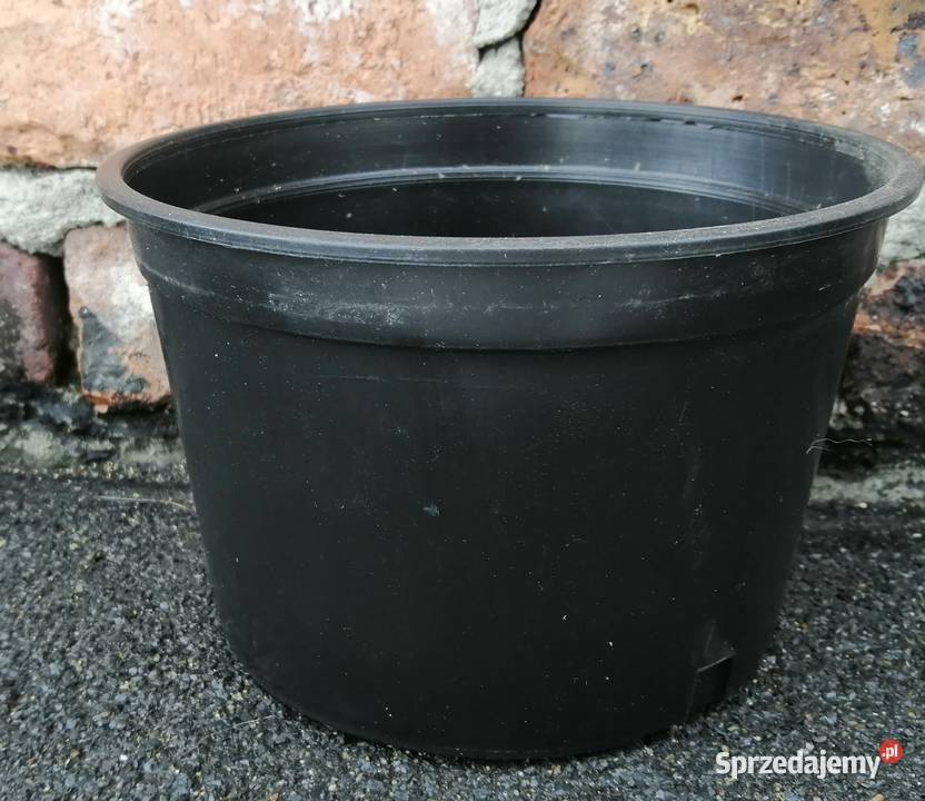 Doniczki produkcyjne czarne 2L 18 TWARDE 2 L Siewierz sprzedam