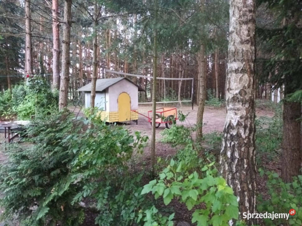 Dom z dużą działką Wola Pieczyska sprzedam