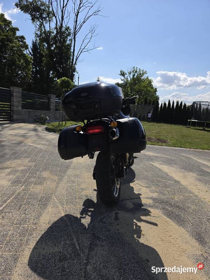 Triumph Taiger 885 łańcuch