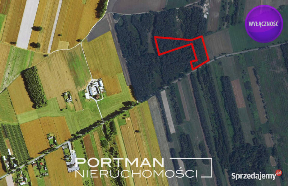 Działka w Dobrzyńcu 15 200 m2 Dobrzyniec