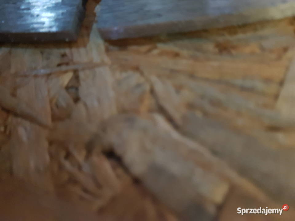 TARCZA DIAMENTOWA 400x254 diamond poweralt Głogowa