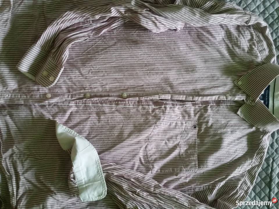 XL Tommy Hilfiger koszula męska nadruki Rozmiar XL Kielce
