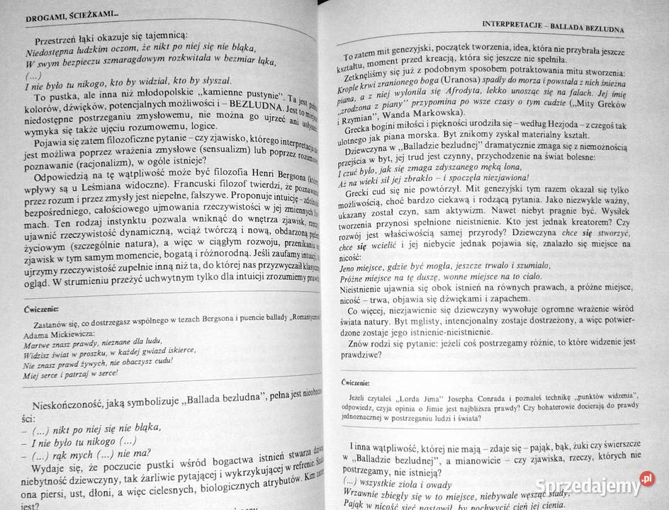 Szkolny przewodnik poezji XX w Antologie eseje Pozostałe Chełm