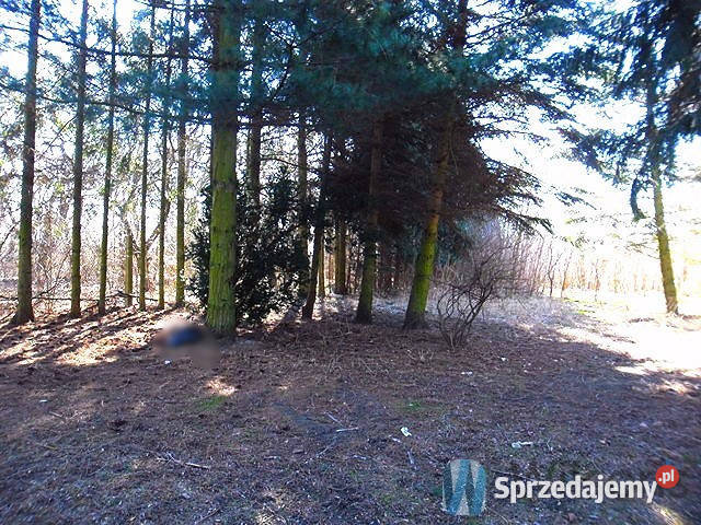 Ogłoszenie grunt Radom Marglowa 13370m2 szambo sprzedam