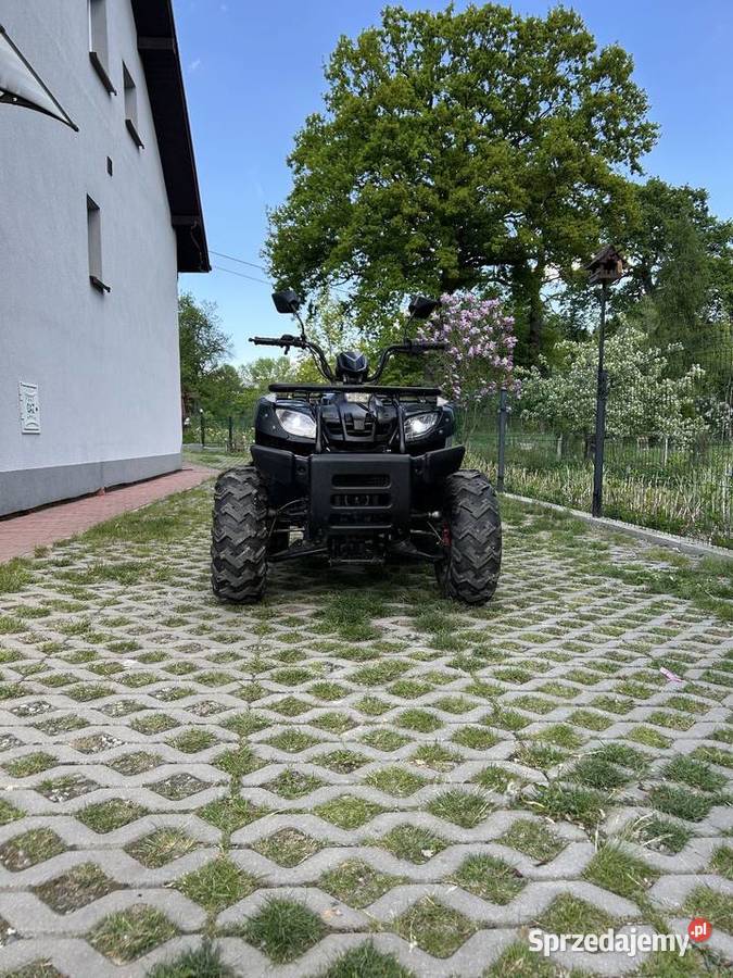 Quada BASHAN 200 Kraków