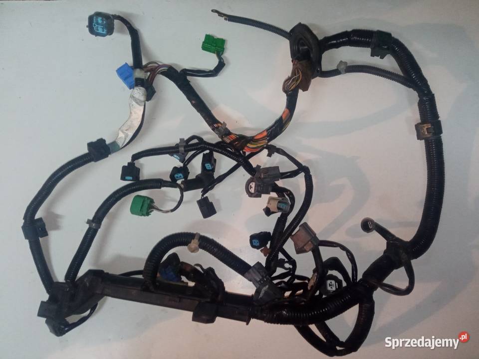 Wiązka silnikowa Honda Civic VI EJ9 9601 14 świętokrzyskie Kielce