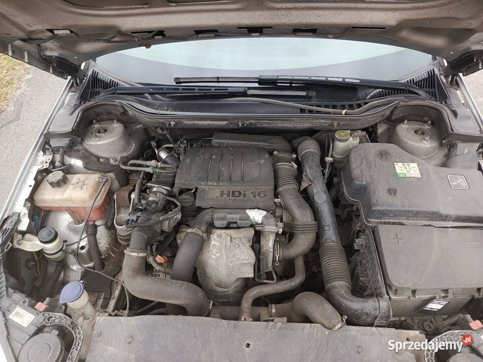 Citroen C5 16 HDi super stan 56 spalanie Motoryzacja Mysłowice